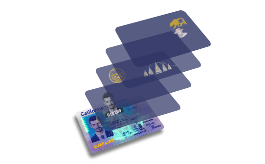 multilayer card